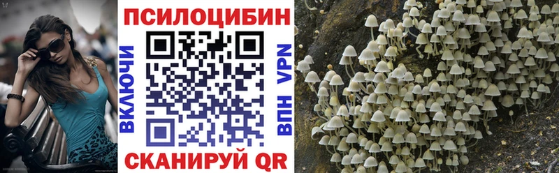 Псилоцибиновые грибы Psilocybe  MEGA ссылка  Спасск-Дальний  где найти  